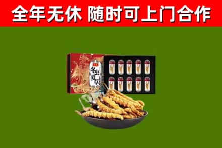 浦江回收冬虫夏草价格